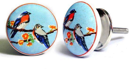 Ibenzoa® Set van 8 handgeschilderde keramische knoppen met vogelontwerpen voor meubels