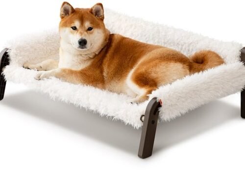 Ibenzoa® Verhoogd ademend hondenbed met wasbare hoes en antislip bodem, XL formaat Ibenzoa® Verhoogd ademend hondenbed met wasbare hoes en antislip bodem, XL formaat