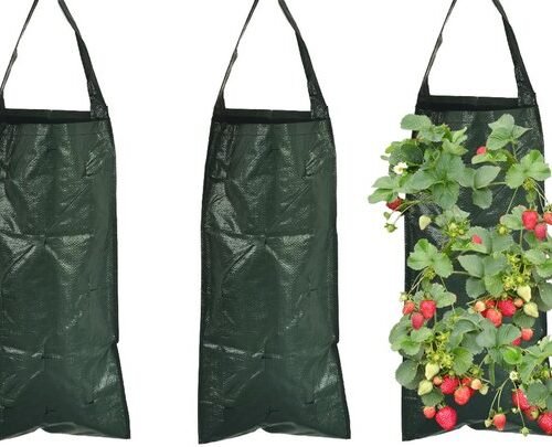 Ibenzoa® verticale plantenzakken voor aardbeien en groenten kweken buiten