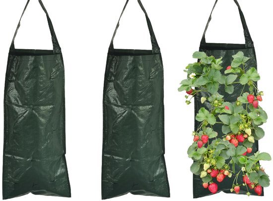 Ibenzoa® verticale plantenzakken voor aardbeien en groenten kweken buiten