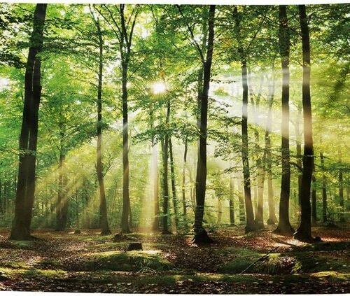 Ibenzoa® Met en voor