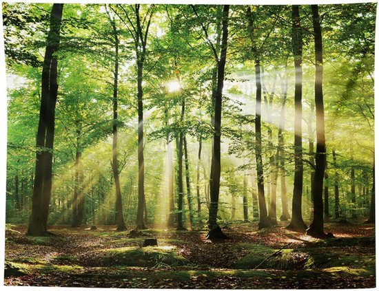 Ibenzoa® Met en voor