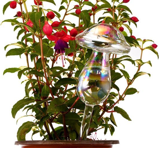 Unyqoos® Set van vier glazen voor Unyqoos® Set van vier glazen voor