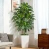 Ibenzoa® Levensechte dracaena kunstplant 180 cm met elegante witte plantenbak