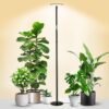 Ibenzoa® Stijlvolle staande lamp met vol spectrum licht voor kamerplanten