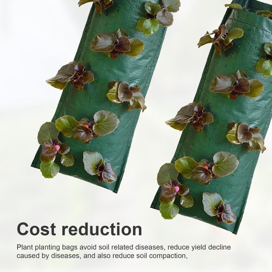 Ibenzoa® verticale plantenzakken voor aardbeien en groenten kweken buiten