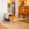 Ibenzoa® Ruime kattenbak met deksel en geurfilters voor grote katten Ibenzoa® Ruime kattenbak met deksel en geurfilters voor grote katten