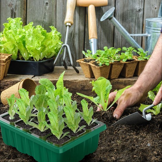 Unyqoos® Complete kweekset met voor