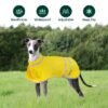 Ibenzoa® Lichtgewicht en verstelbare hondenregenjas met reflecterende strepen voor grote rassen