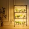 Ibenzoa® Vierlaagse plantenstandaard met geïntegreerde LED-groeilamp en timerfunctie Ibenzoa® Vierlaagse plantenstandaard met geïntegreerde LED-groeilamp en timerfunctie
