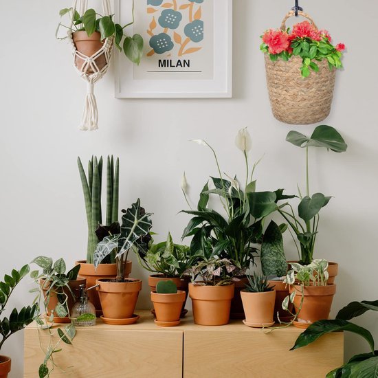 Ibenzoa® Decoratieve en multifunctionele hangende mand van zeegras voor thuisgebruik