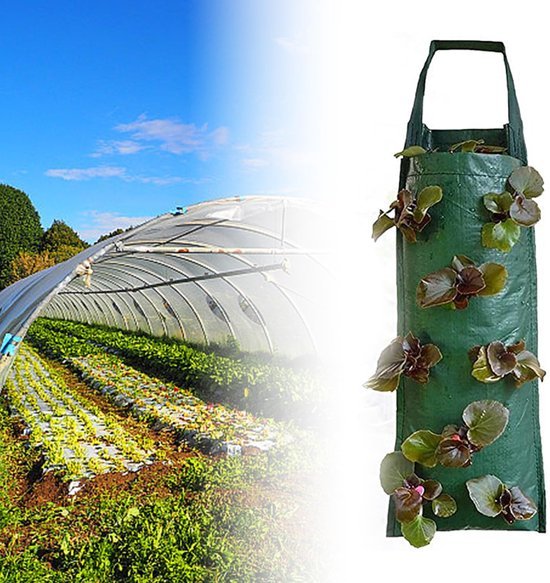 Ibenzoa® verticale plantenzakken voor aardbeien en groenten kweken buiten