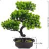 Ibenzoa® Levensechte kunstbonsai van 34 cm voor stijlvolle interieurdecoratie