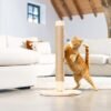 Unyqoos® Stijlvolle krabboom met speelballen voor katten in zandkleurig design