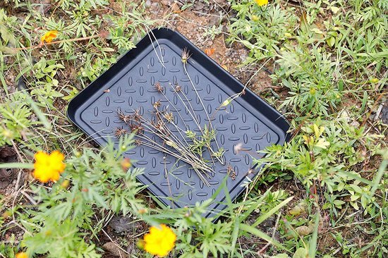 Unyqoos ® Schoenendrager Set met Multifunctionele Toepassingen voor Regenachtige en Sneeuwachtige Dagen Unyqoos ® Schoenendrager Set met Multifunctionele Toepassingen voor Regenachtige en Sneeuwachtige Dagen