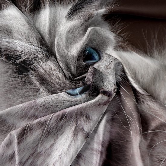 Unyqoos® Betoverende 3D Kitten Beddengoed Set met Dubbelzijdige Patronen en Ritssluiting