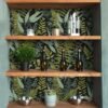550x550-16154.jpg Unyqoos® Zelfklevend tropisch behang met palmbladeren voor stijlvolle interieurvernieuwing