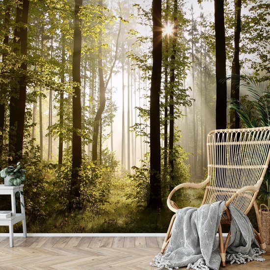 Unyqoos® Moderne XXL Vlies Fotobehang Boslandschap met Zon voor Woon- en Slaapkamer