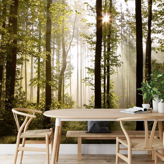 Unyqoos® Moderne XXL Vlies Fotobehang Boslandschap met Zon voor Woon- en Slaapkamer