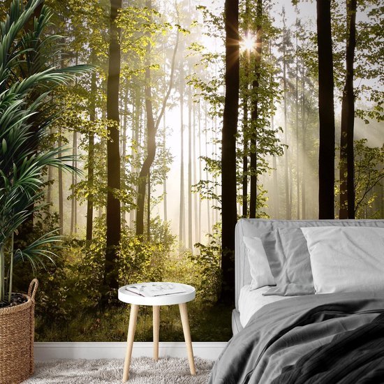 Unyqoos® Moderne XXL Vlies Fotobehang Boslandschap met Zon voor Woon- en Slaapkamer