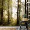 Unyqoos® Moderne XXL Vlies Fotobehang Boslandschap met Zon voor Woon- en Slaapkamer