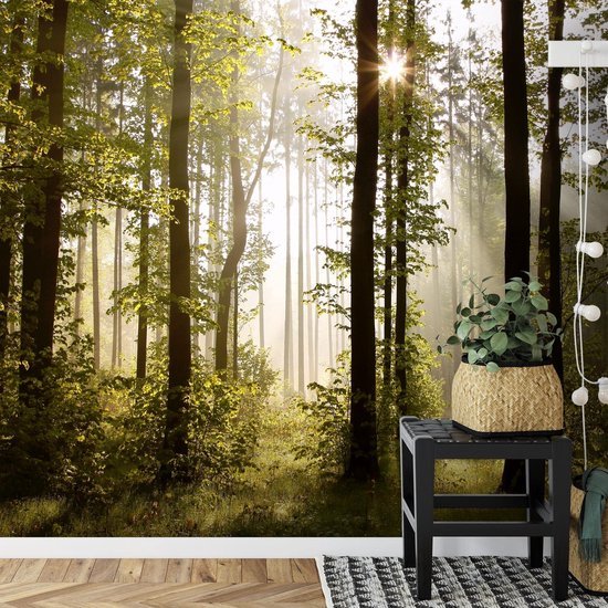 Unyqoos® Moderne XXL Vlies Fotobehang Boslandschap met Zon voor Woon- en Slaapkamer