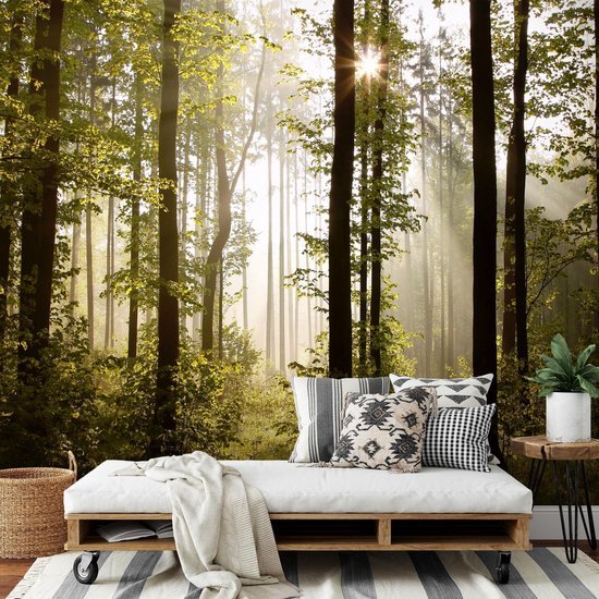 Unyqoos® Moderne XXL Vlies Fotobehang Boslandschap met Zon voor Woon- en Slaapkamer