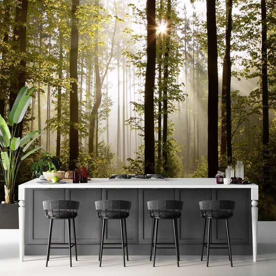 Unyqoos® Moderne XXL Vlies Fotobehang Boslandschap met Zon voor Woon- en Slaapkamer