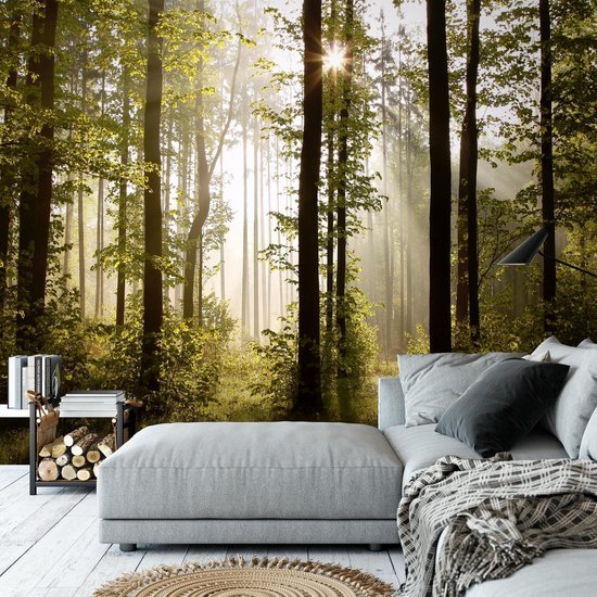 Unyqoos® Moderne XXL Vlies Fotobehang Boslandschap met Zon voor Woon- en Slaapkamer