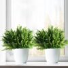 Unyqoos ® Realistisch Uitziende Kunstplanten voor Binnen- en Buitendecoratie, Set van 6 Stuks