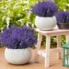 Unyqoos ® 10 Stuks Weerbestendige Kunstlavendel voor Buiten Decoratie met Realistische Details
