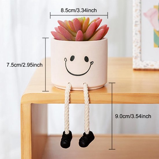 Unyqoos ® Decoratieve Miniatuurplanten voor Binnen en Buiten met Keramische Potten