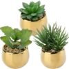 Unyqoos ® Set van Drie Realistische Vetplanten in Keramische Potten voor Elk Interieur