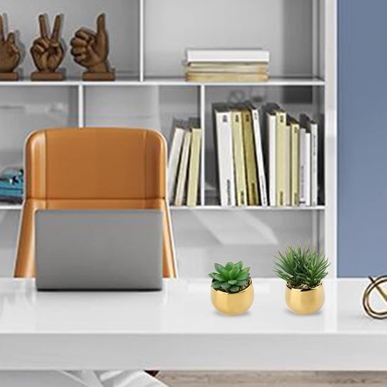 Unyqoos ® Set van Drie Realistische Vetplanten in Keramische Potten voor Elk Interieur