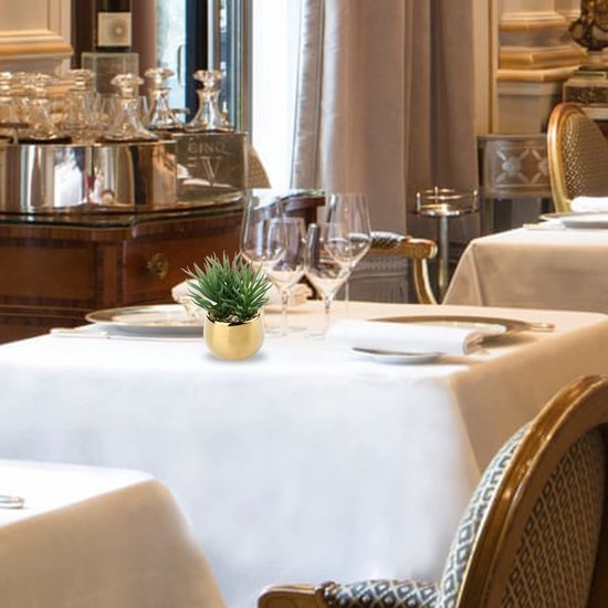 Unyqoos ® Set van Drie Realistische Vetplanten in Keramische Potten voor Elk Interieur