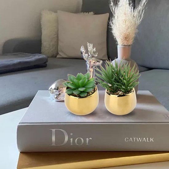 Unyqoos ® Set van Drie Realistische Vetplanten in Keramische Potten voor Elk Interieur