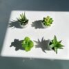 Unyqoos ® Set van 4 Decoratieve Mini Kunstplanten in Keramische Potten voor Diverse Interieurstijlen