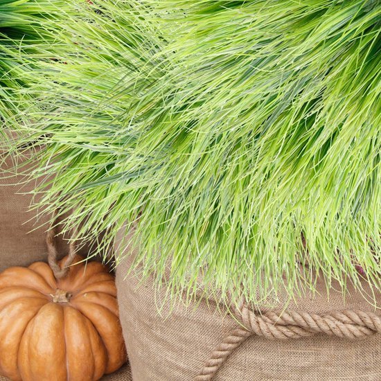 Unyqoos® Kunstmatige Groene Decoratieve Plantenbundels voor Binnen- en Buitengebruik, UV-bestendig en Onderhoudsvrij
