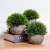 Unyqoos ® Kunstplanten Set voor Stijlvolle Interieurdecoratie en Onderhoudsvrij Groen