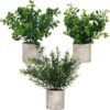 Unyqoos ® Set van Drie Realistische Miniatuur Groene Planten in Decoratieve Potten voor Huis en Kantoor