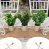 Unyqoos ® Set van Drie Realistische Miniatuur Groene Planten in Decoratieve Potten voor Huis en Kantoor