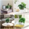 Unyqoos® Verbluffend Realistisch Kunstplantenset Met Drie Stuks Voor Diverse Ruimtes