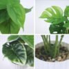 Unyqoos® Verbluffend Realistisch Kunstplantenset Met Drie Stuks Voor Diverse Ruimtes