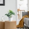 Unyqoos® Verbluffend Realistisch Kunstplantenset Met Drie Stuks Voor Diverse Ruimtes