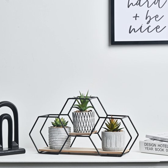Unyqoos ® Moderne Set van 3 Geometrische Kunstplanten met Metalen en Houten Stand voor Woondecoratie