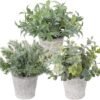 Unyqoos ® Decoratieve Set van Drie Realistische Kunstplanten in Stijlvolle Cementpotten voor Huisdecoratie