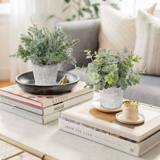 Unyqoos ® Decoratieve Set van Drie Realistische Kunstplanten in Stijlvolle Cementpotten voor Huisdecoratie