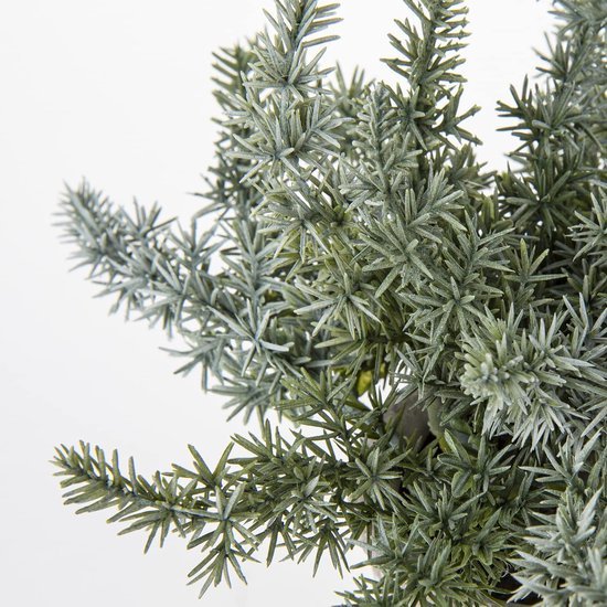 Unyqoos ® Decoratieve Set van Drie Realistische Kunstplanten in Stijlvolle Cementpotten voor Huisdecoratie