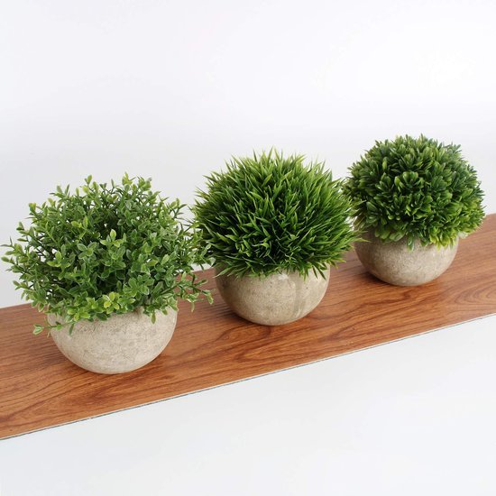 Unyqoos ® Stijlvolle Kunstplanten voor Binnenhuisdecoratie - Kies uit Diverse Opties zoals Bloemen, Succulenten en Klimop