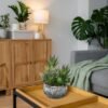Unyqoos® Decoratieve kunstvetplanten in keramische pot voor huis en kantoor, groente, 29 cm